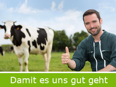 Günstiger Strom und Gas für Landwirte - Energieberatung
